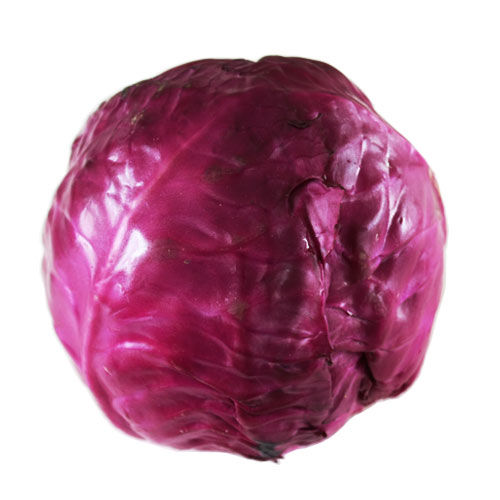 依谷网-专注于绿色生态农产品宅生活电商