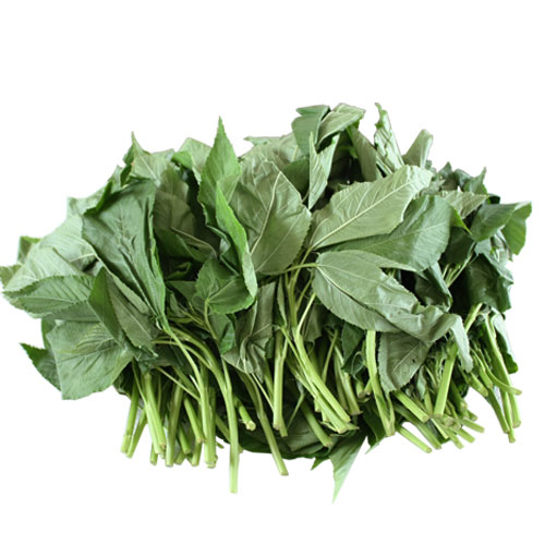 依谷网-专注于绿色生态农产品宅生活电商