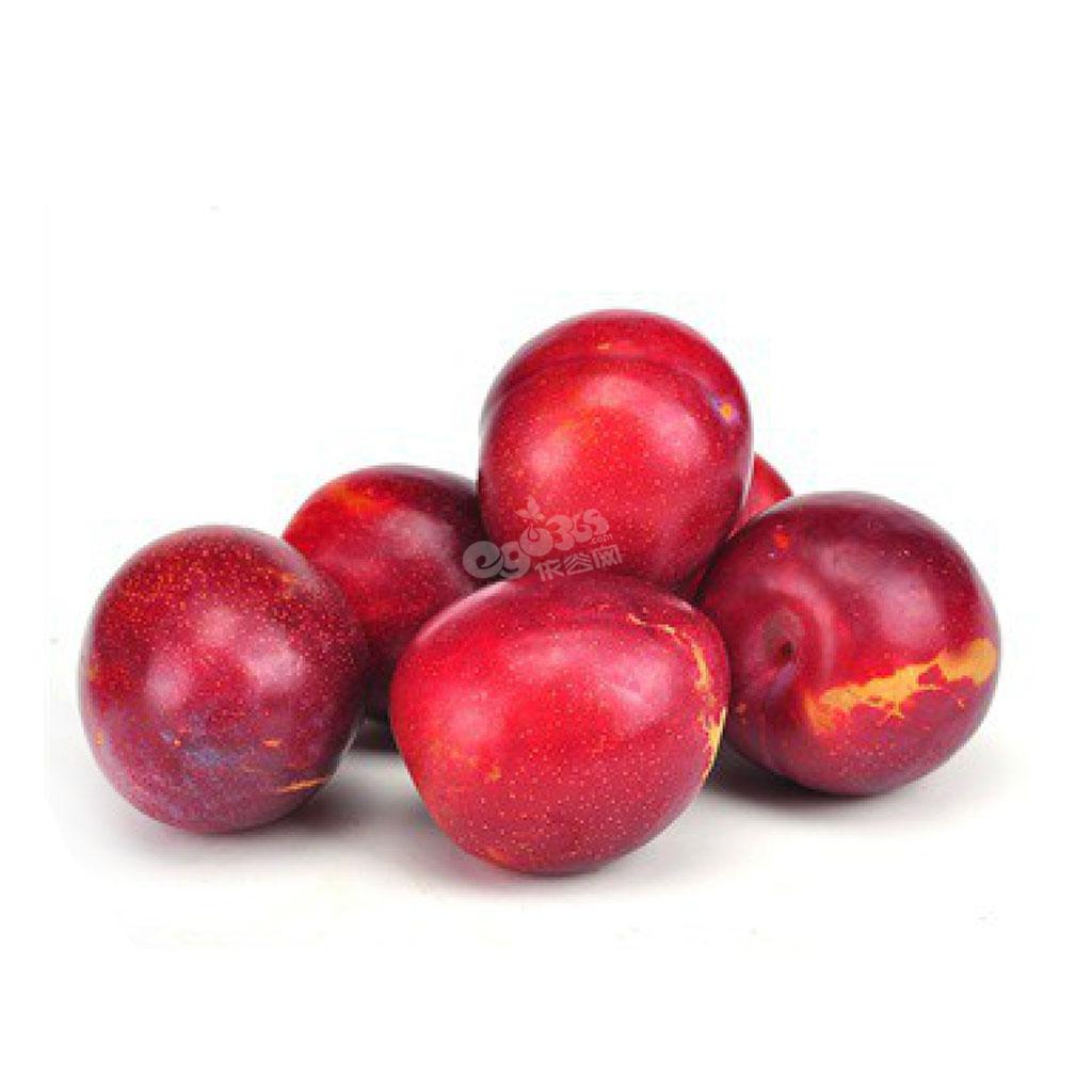 美国鸡心李4kg味道爽口,细腻鲜嫩