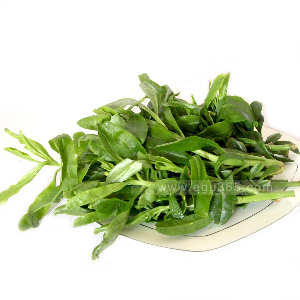 依谷网-专注于绿色生态农产品宅生活电商